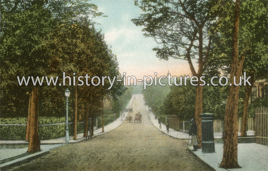 Fairlop Road, Leytonstone, London. c.1904